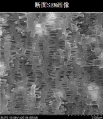 電池隔膜截面掃描電鏡圖像 電池隔膜截面掃描電鏡圖像